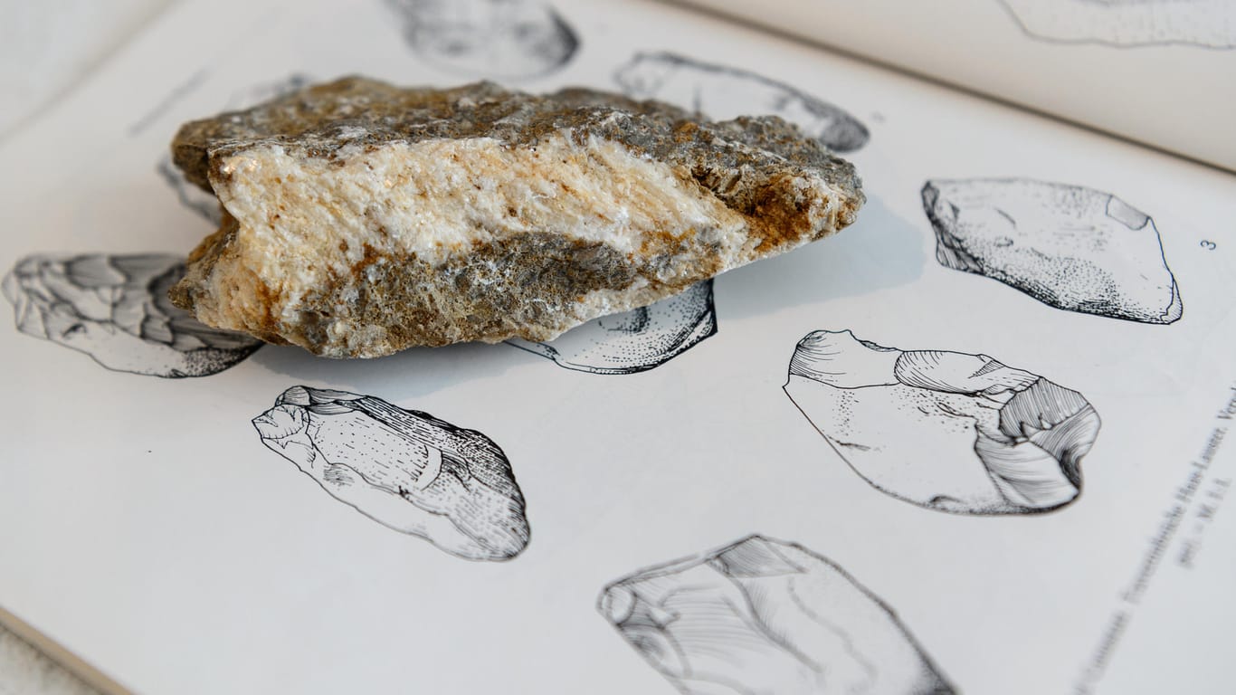 Hobbyarchäologe findet steinerne Werkzeuge des "Steinheimer Urmenschen"