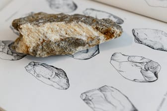 Hobbyarchäologe findet steinerne Werkzeuge des "Steinheimer Urmenschen"
