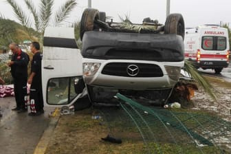 Das Fahrzeug kollidierte auf einer Verkehrsinsel mit einer Palme.