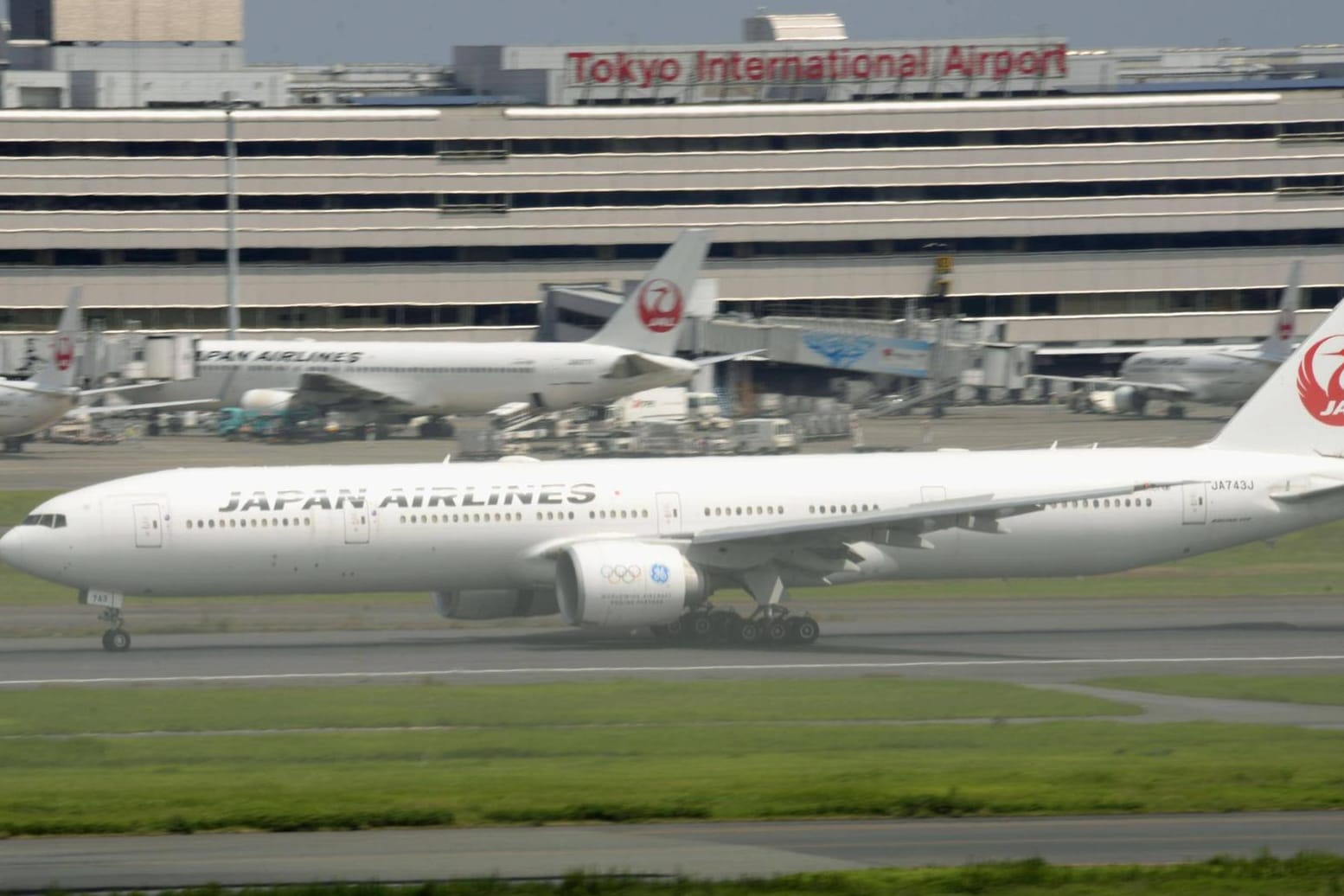 Ein entlaufener Hund blockierte am Flughafen Haneda in Japan die Start- und Landebahnen. (Symbolbild)