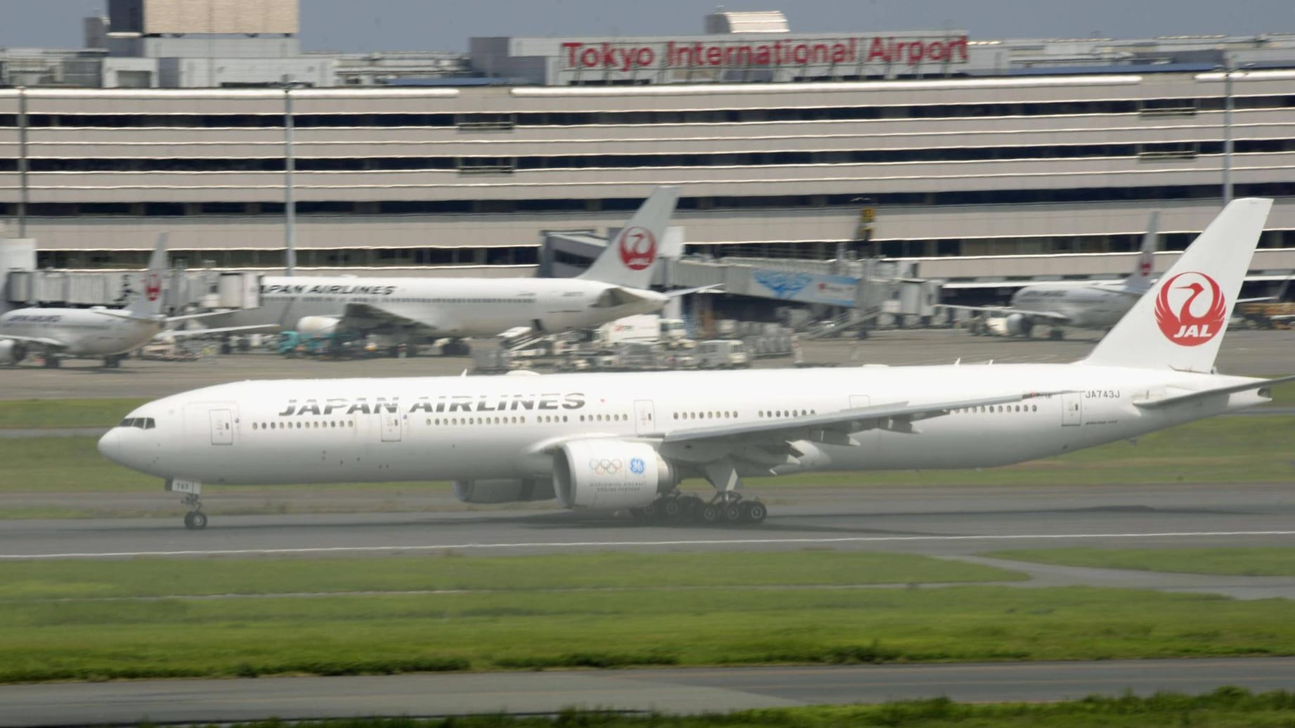 Ein entlaufener Hund blockierte am Flughafen Haneda in Japan die Start- und Landebahnen. (Symbolbild)