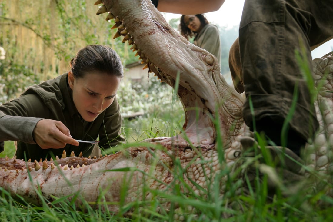 Natalie Portman zählt zur hochkarätigen Besetzung im Film "Auslöschung".