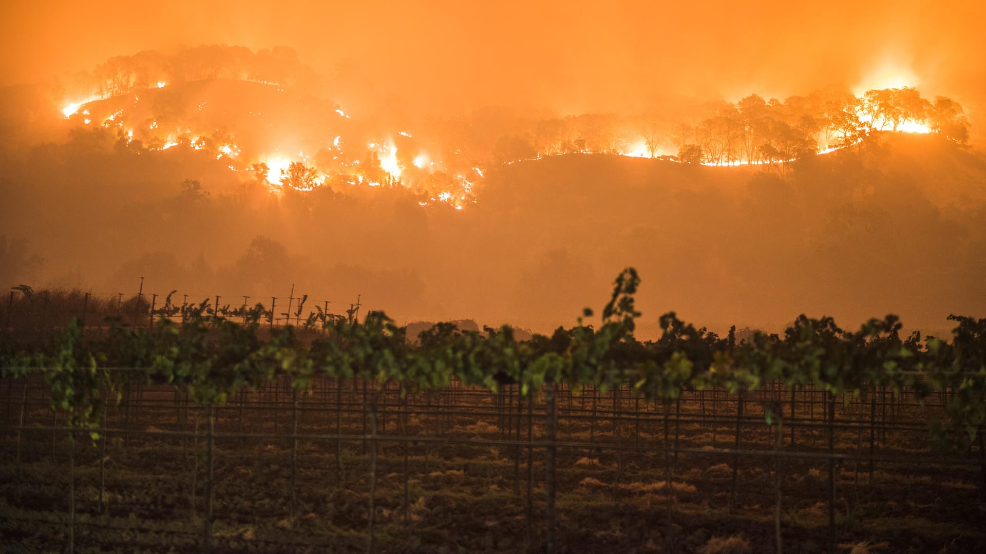 Waldbrände in Kalifornien nehmen zu
