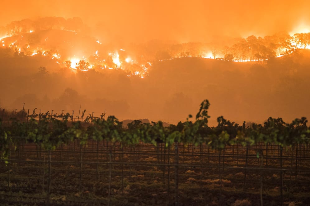 Waldbrände in Kalifornien nehmen zu