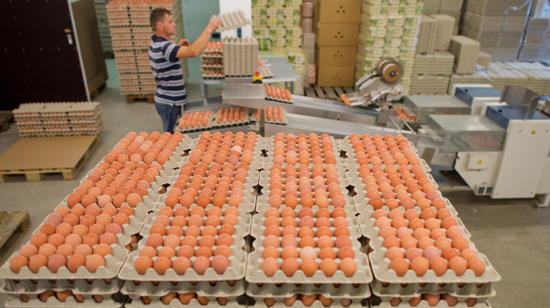 Nach dem Fipronil-Skandal fehlen viele Eier auf dem deutschen Markt. Dennoch sind in Deutschland die Regale der Supermärkte gefüllt.