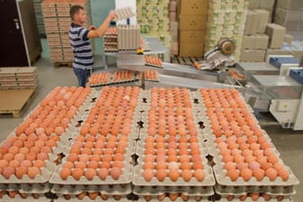 Nach dem Fipronil-Skandal fehlen viele Eier auf dem deutschen Markt. Dennoch sind in Deutschland die Regale der Supermärkte gefüllt.