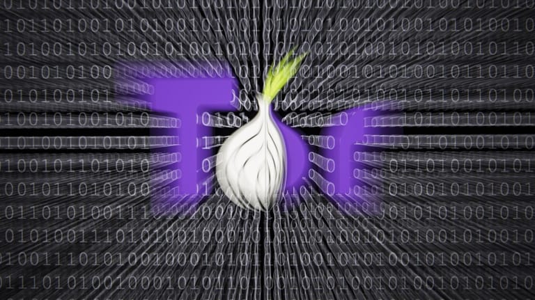 Das Logo des Tor-Browsers, er ermöglicht den anonymen Zugang zum Darknet