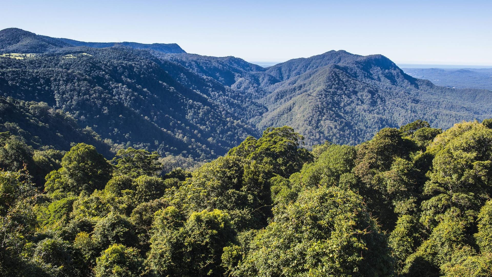 Mutter und Sohn wollten nur eine zweistündige Wanderung im Mount Royal Nationalpark (Australien) unternehmen und haben sich dabei verlaufen.