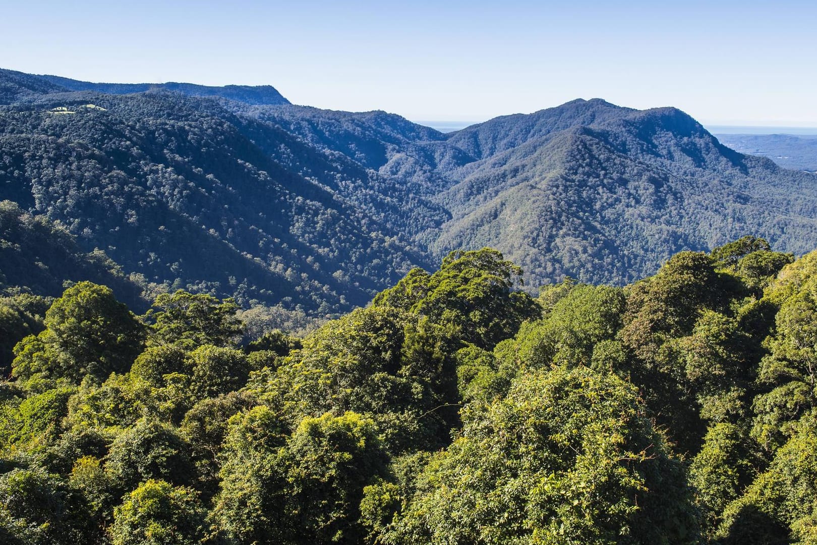 Mutter und Sohn wollten nur eine zweistündige Wanderung im Mount Royal Nationalpark (Australien) unternehmen und haben sich dabei verlaufen.