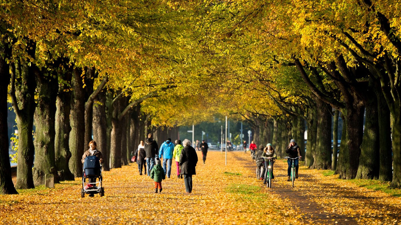 In diesem Oktober können Sie sich auf ein schönes Herbstwetter freuen.