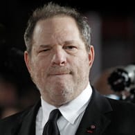 Filmproduzent Harvey Weinstein steht mächtig unter Druck.
