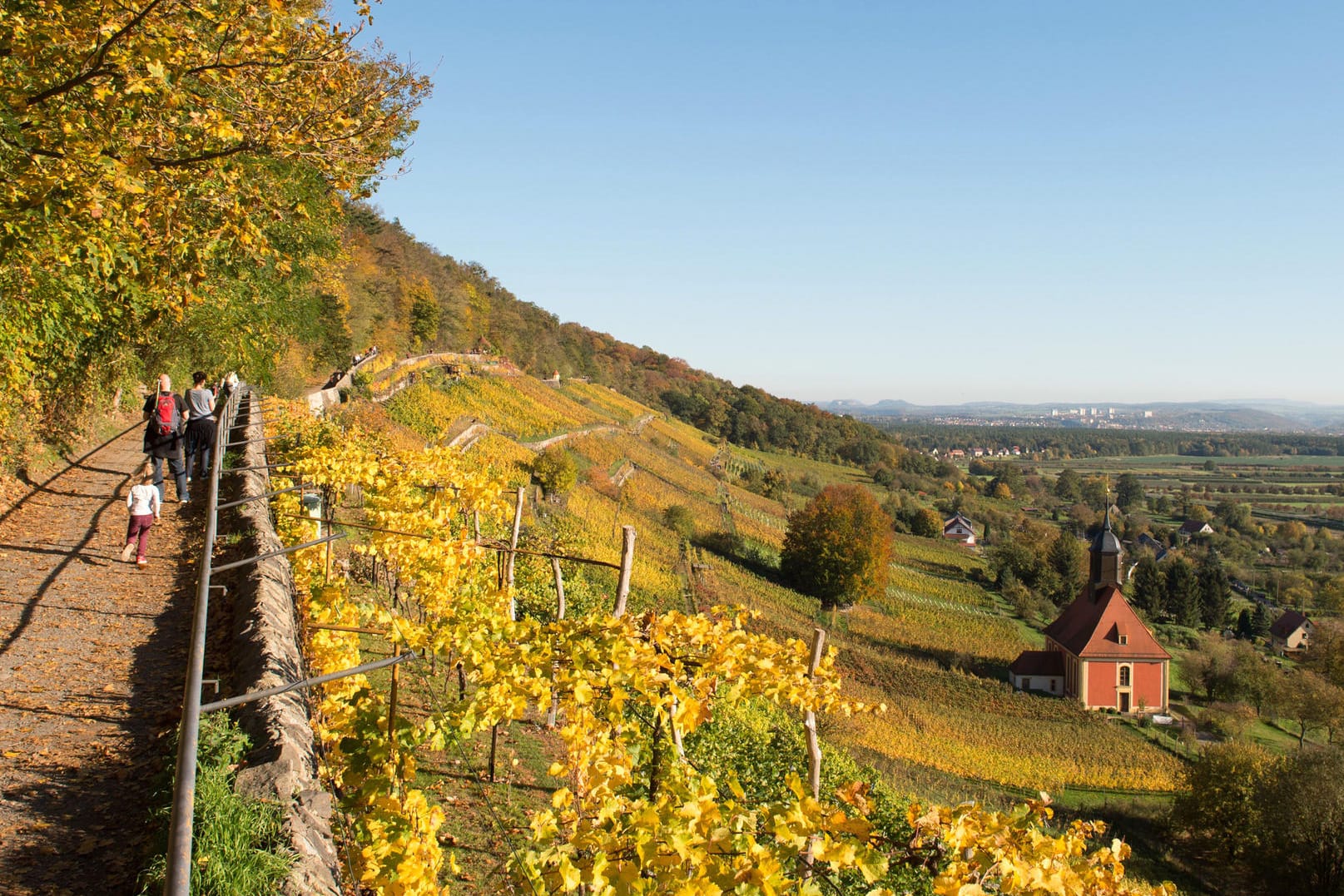 Spaziergänger wandern bei schönstem Herbstwetter in der Nähe von Dresden.