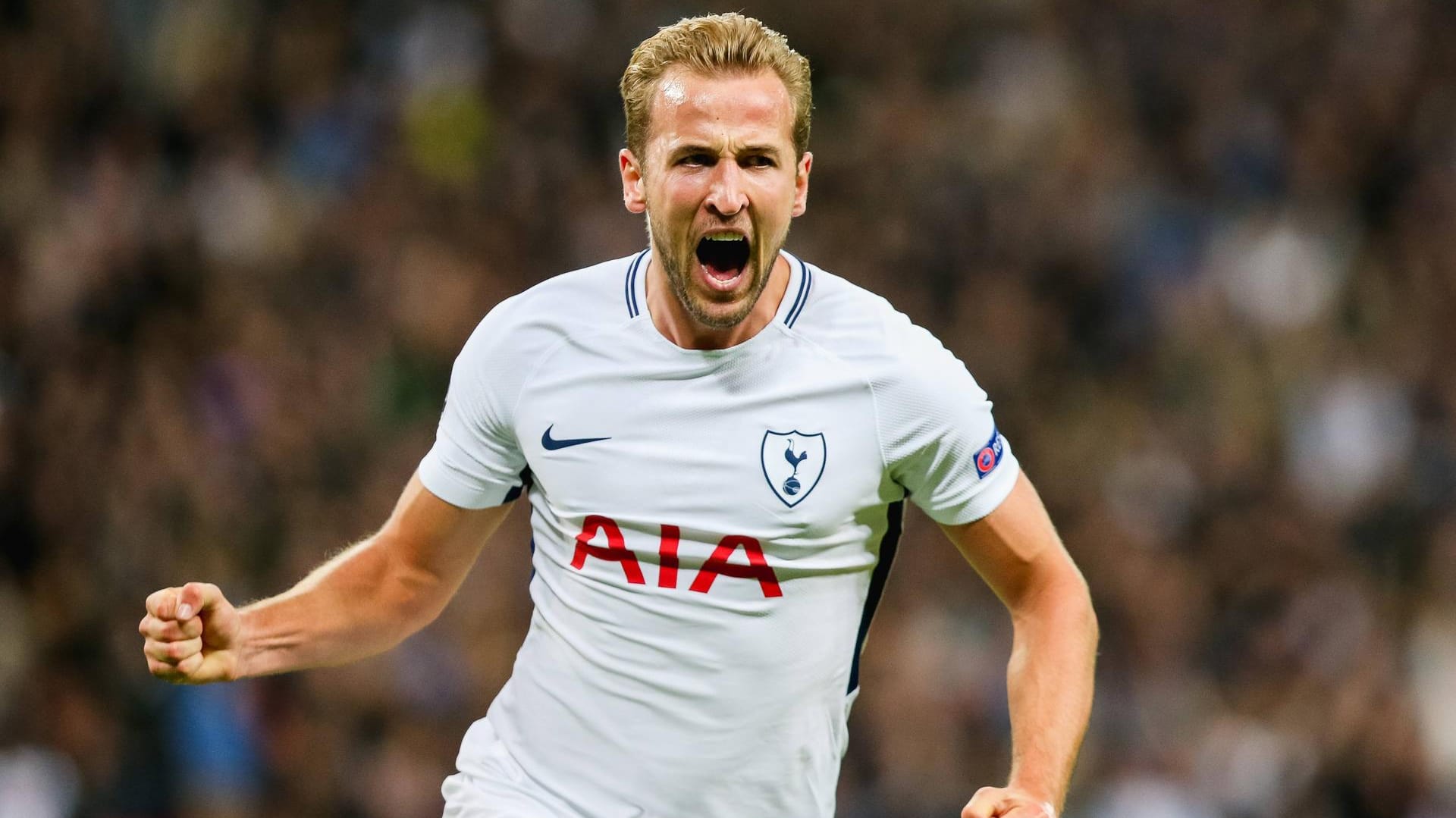 BVB-Schreck: Harry Kane.