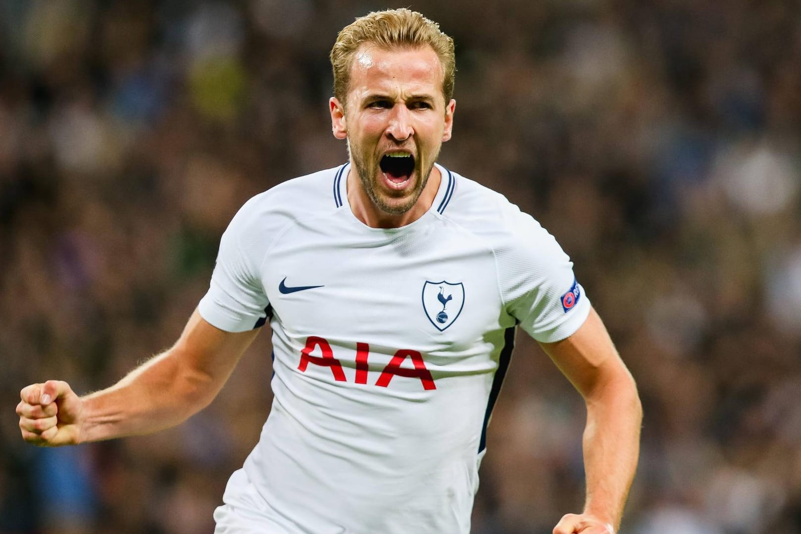 BVB-Schreck: Harry Kane.