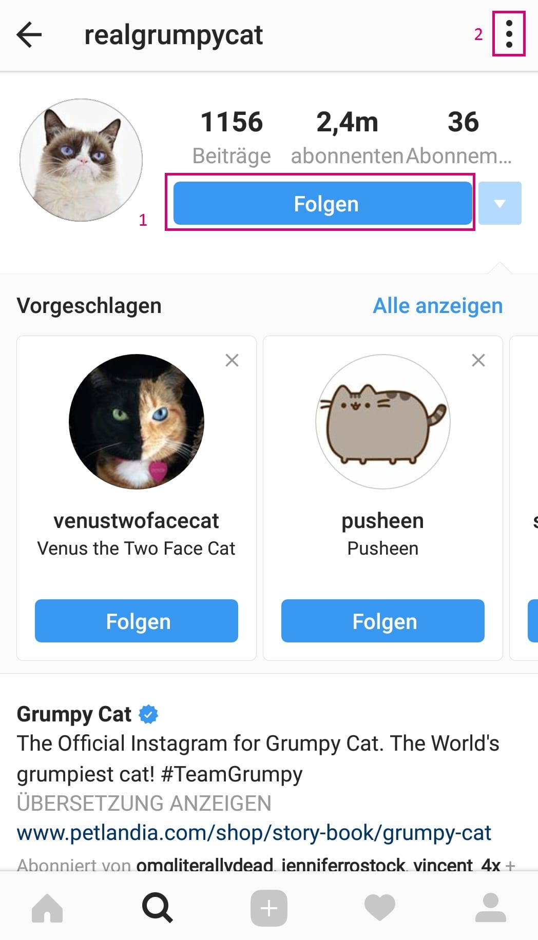 Auf den Profilen von Instagram hat man verschiedene Möglichkeiten.