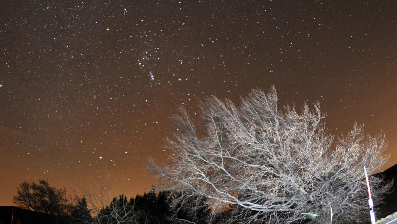 Die Sternschnuppen aus dem Meteorstrom der Leoniden sind im November am Himmel erkennbar.