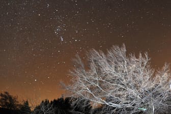 Die Sternschnuppen aus dem Meteorstrom der Leoniden sind im November am Himmel erkennbar.