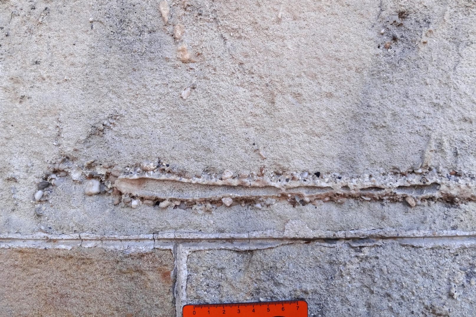 Das Bild zeigt Fossilien an der Wand eines modernistischen Gebäudes in Barcelona.