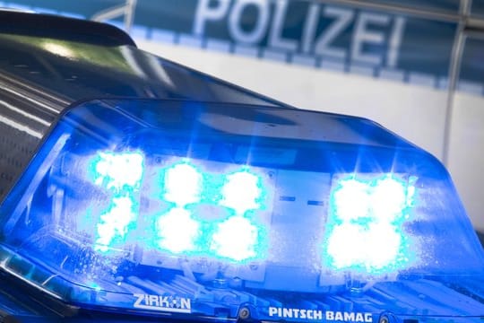 Ein Blaulicht leuchtet auf dem Dach eines Polizeiwagens (Symbolbild): In Brandenburg an der Havel wurden mehrere Wohnungen durchsucht.
