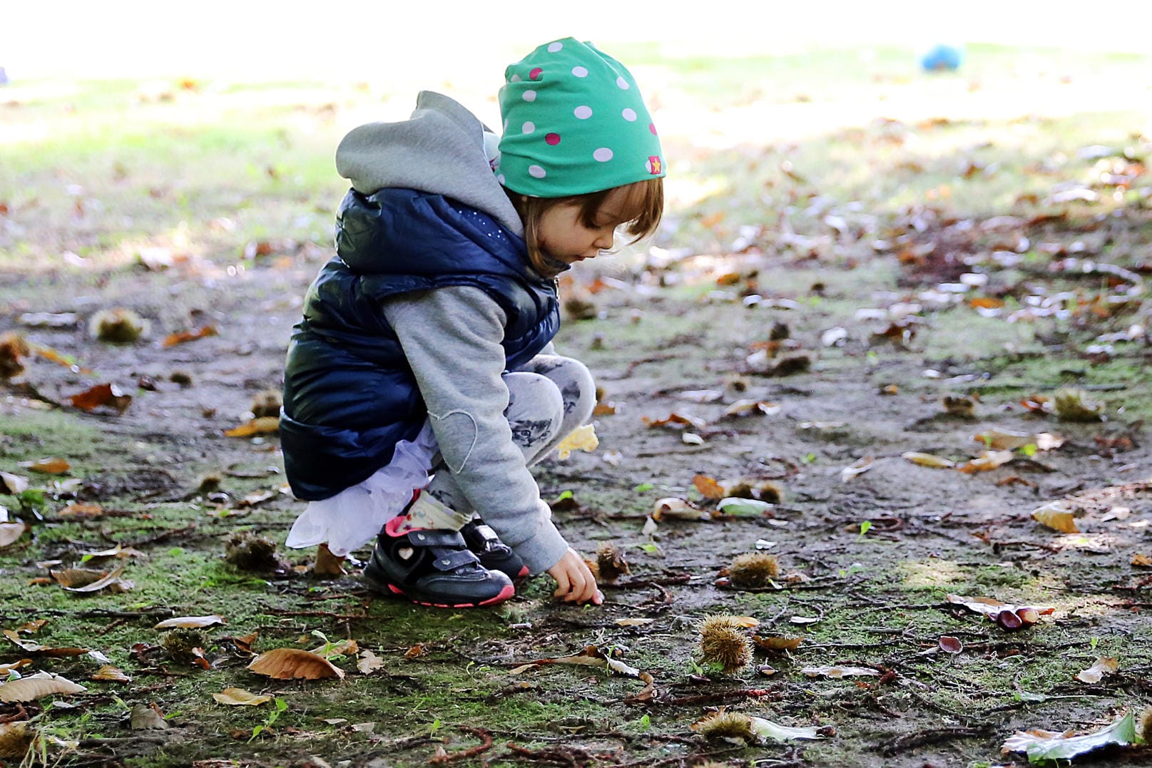 An Kastanien mangelt es im Herbst nicht. Wer mag, sammelt sie auf und bastelt Männchen aus ihnen.