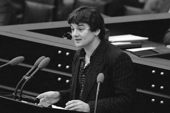 Joschka Fischer lieferte sich 1984 eine legendäre Auseinandersetzung mit der Bundestagsspitze.