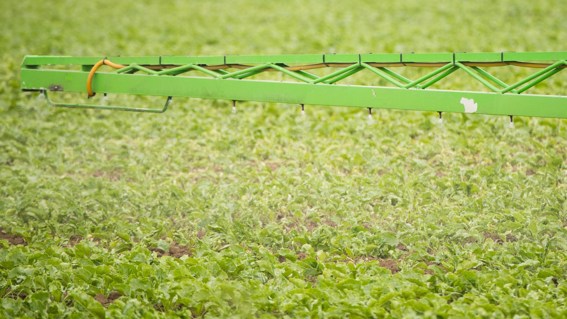 Herbizide in der Landwirtschaft