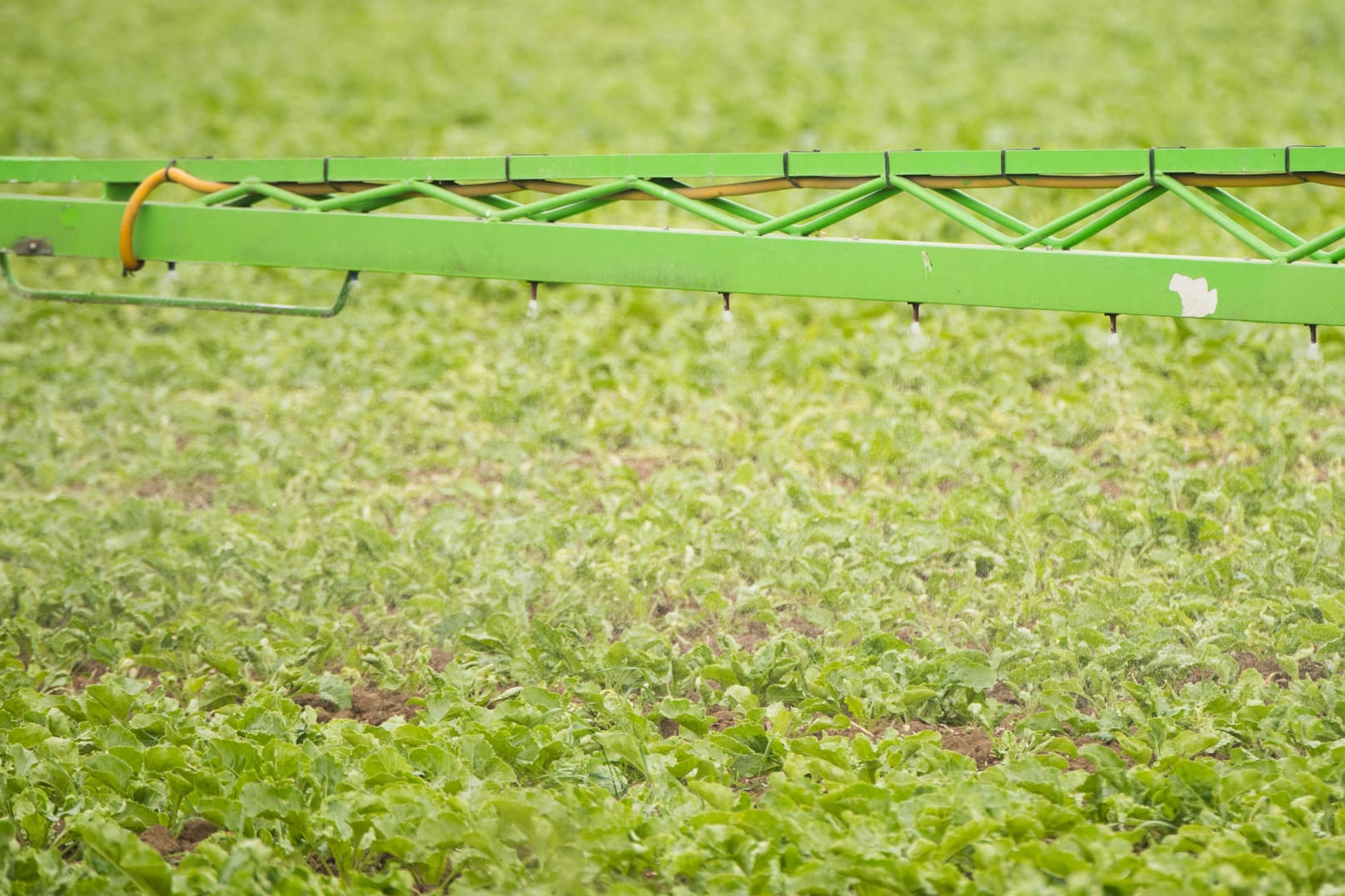 Herbizide in der Landwirtschaft