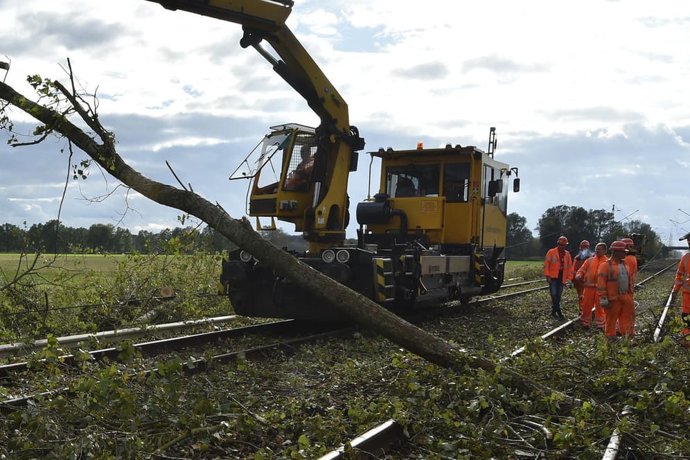 Bahnmitarbeiter räumen nach dem Sturm "Xavier" in Brandenburg umgestürzte Bäume von den Gleisen.