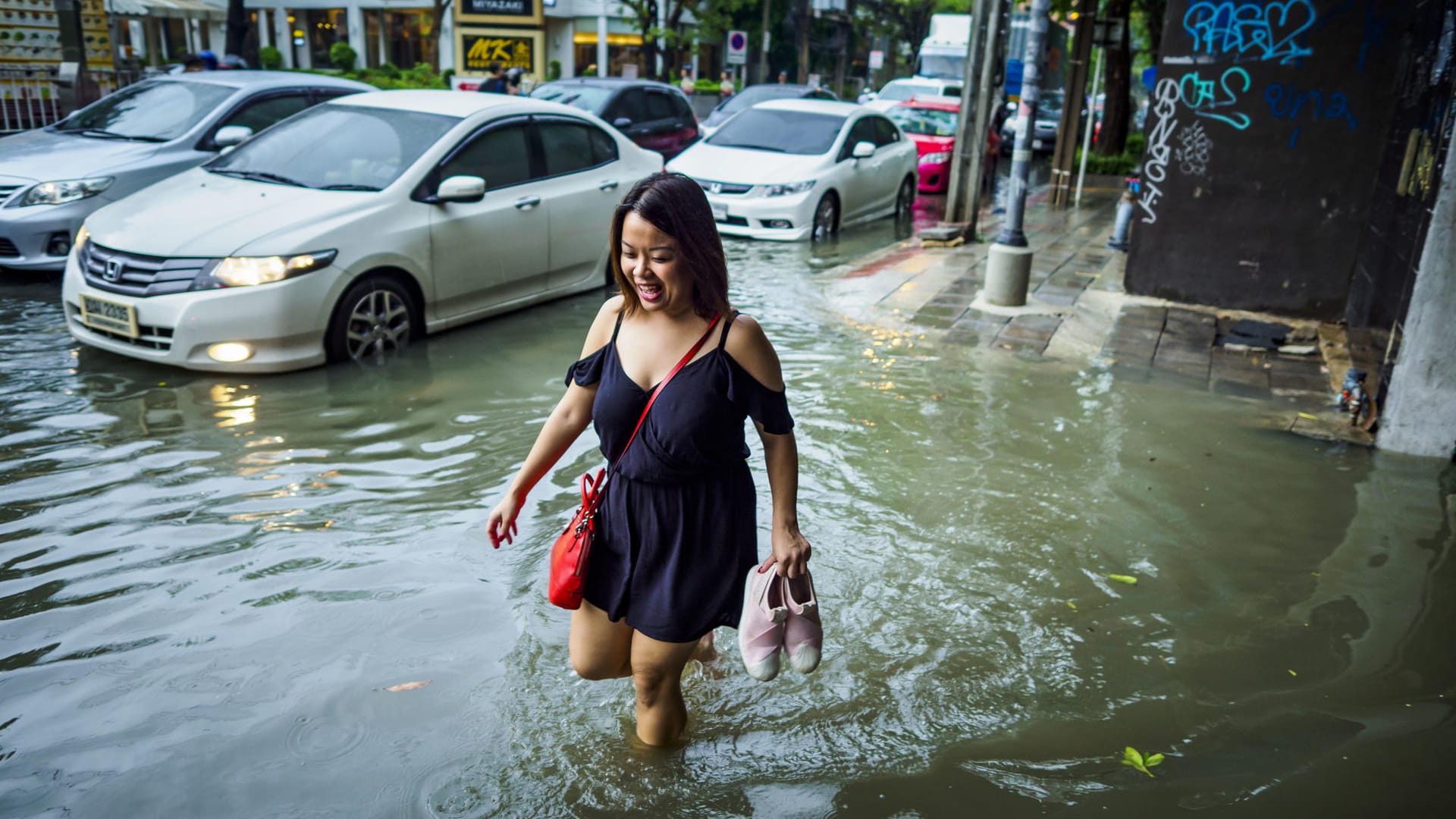 So schützen sich Reisende in Thailand vor Leptospirose