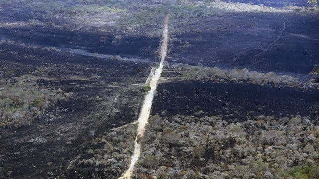 Der Park Chapada dos Veadeiros im Bundesstaat Goiás brennt bereits seit dem 10. Der Park Chapada dos Veadeiros im Bundesstaat Goiás brennt bereits seit dem 10.