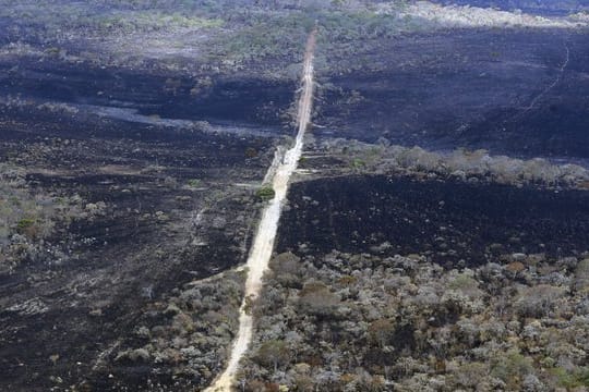 Der Park Chapada dos Veadeiros im Bundesstaat Goiás brennt bereits seit dem 10.