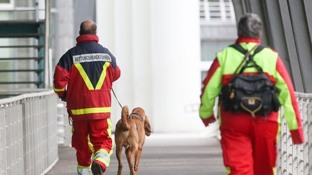 Einsatzkräfte suchen am Hafen in Hamburg mit einem Rettungshund nach einem bis dahin vermissten Kameramann. Einsatzkräfte suchen am Hafen in Hamburg mit einem Rettungshund nach einem bis dahin vermissten Kameramann.