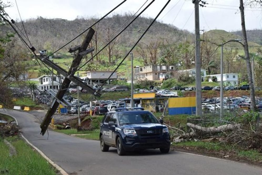 Zerstöre Stromleitungen in einer von Hurrikan "Maria" getroffenen Region in Puerto Rico.