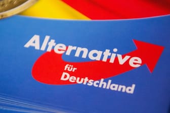 Anfang Dezember will die AfD auf einem Delegiertenparteitag in Hannover einen neuen Bundesvorstand wählen.