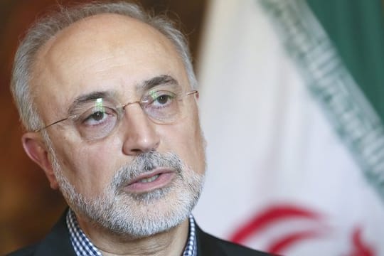 Ali Akbar Salehi während einer Pressekonferenz in Brüssel.
