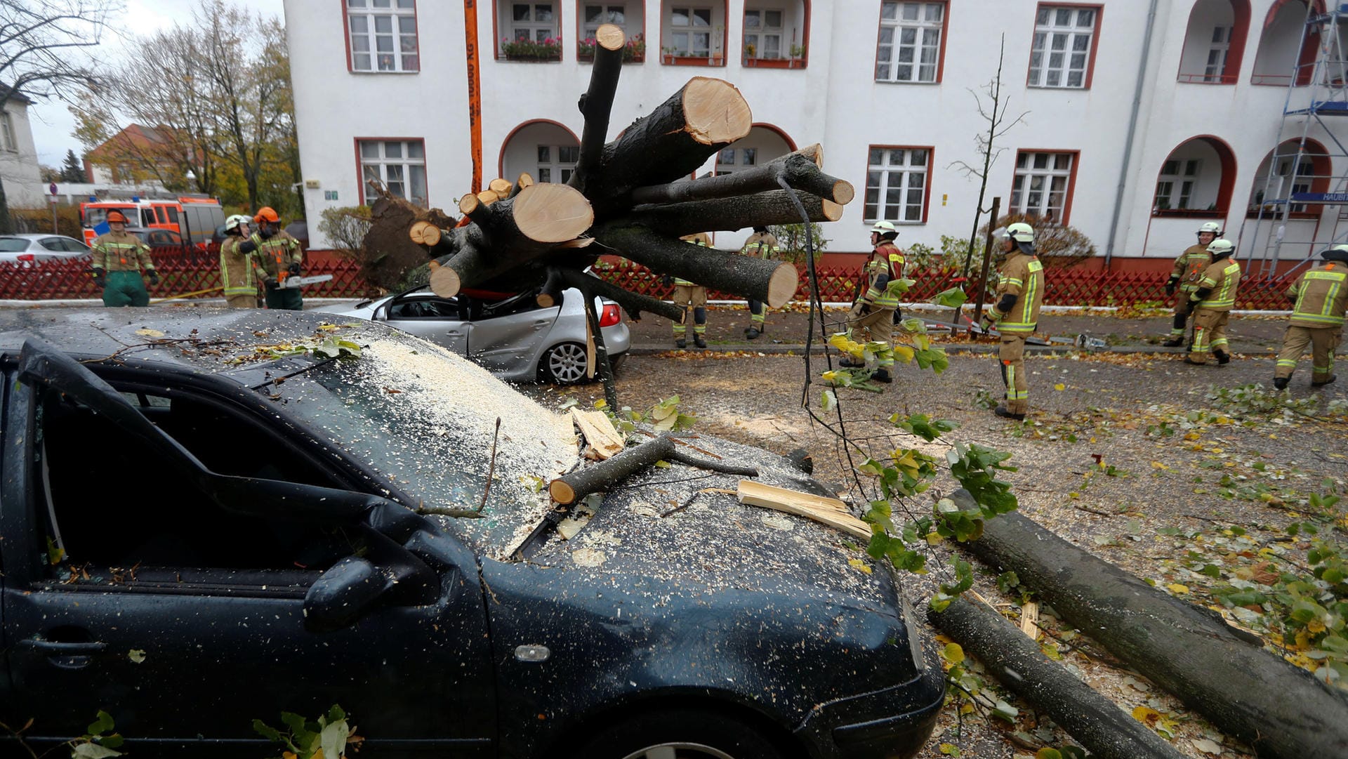 In Berlin hat der Herbststurm "Herwart" Bäume entwurzelt.