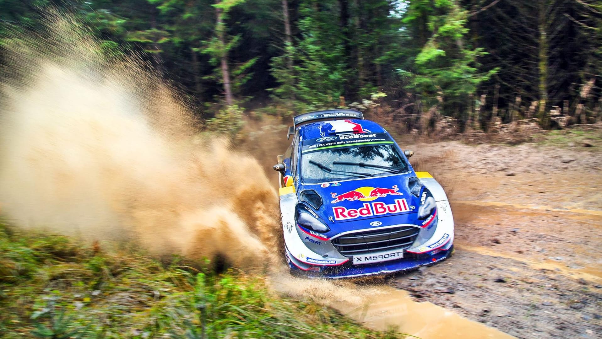 Sébastien Ogier in seinem Ford.