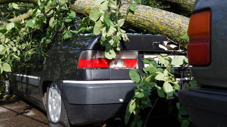 Wer nach einem Sturm einen Defekt an seinem Auto feststellt, sollte die Versicherung schnell informieren. Und zwar egal, ob es nun Totalschäden oder nur ein paar Dellen sind.