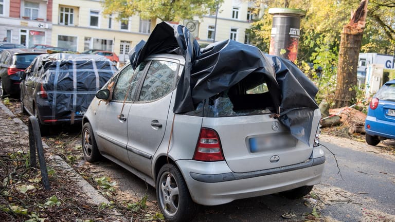 Sturmtief "Herwart" hinterließ in Hamburg zerstörte Autos und umgeknickte Bäume.
