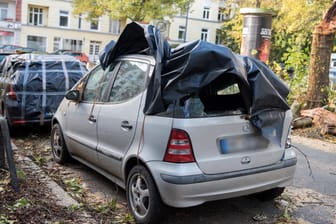 Sturmtief "Herwart" hinterließ in Hamburg zerstörte Autos und umgeknickte Bäume.
