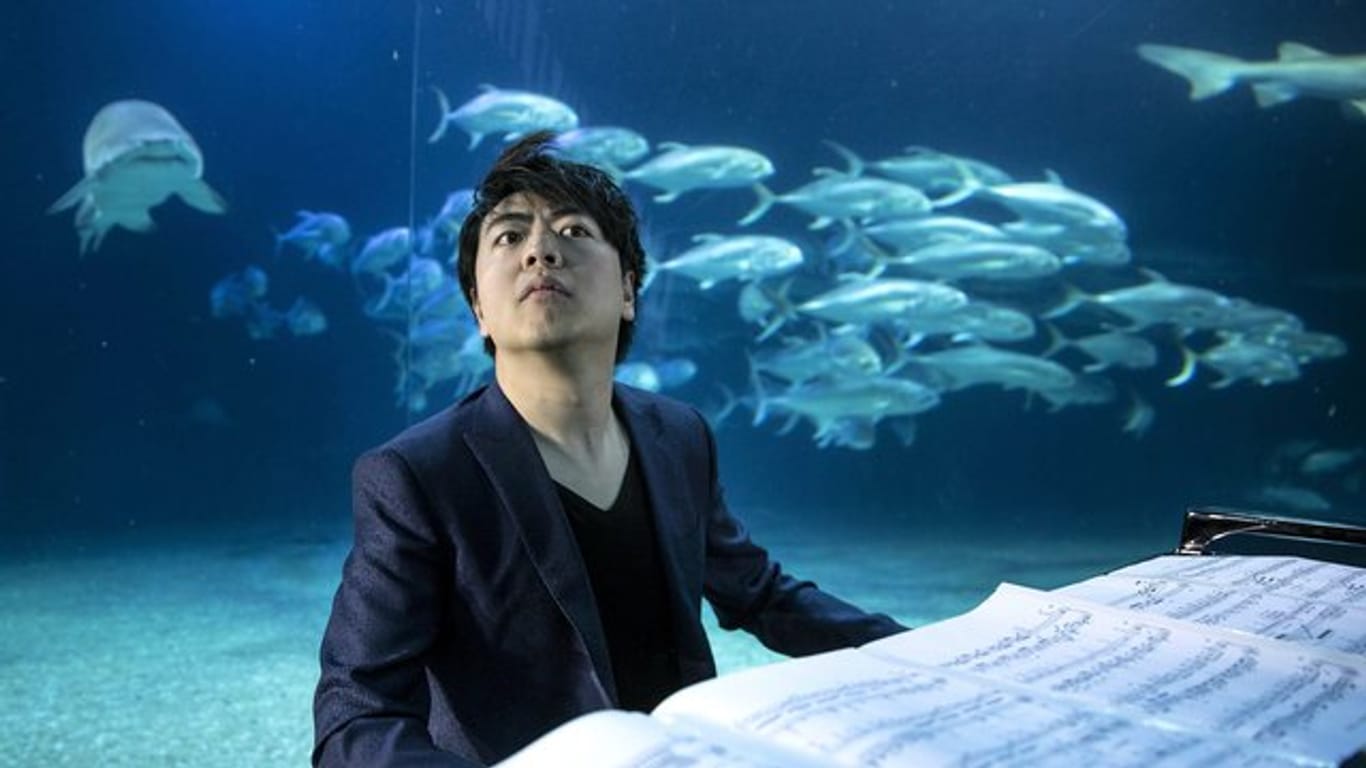 Pianist Lang Lang 2016 in einem Unterwasser-Tunnel des Aquariums Valencia (Spanien).