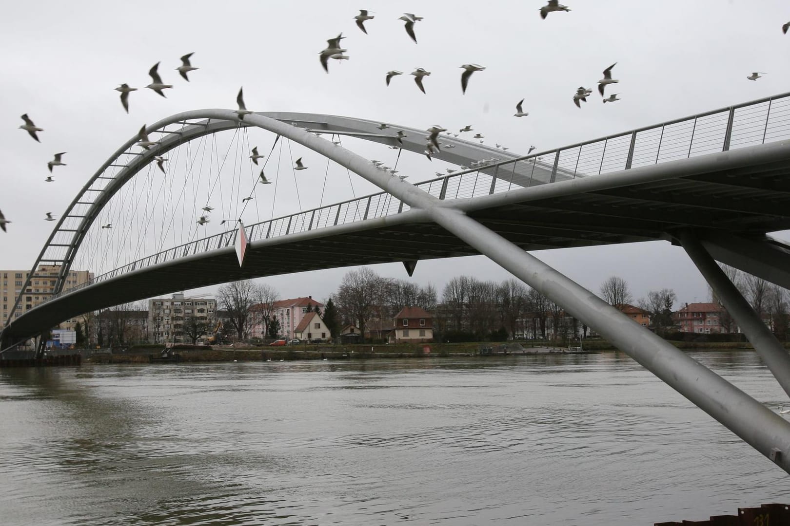 Die Dreiländerbrücke verbindet bei Weil am Rhein Deutschland und Frankreich. Der Flüchtende wollte offenbar lieber schwimmen.