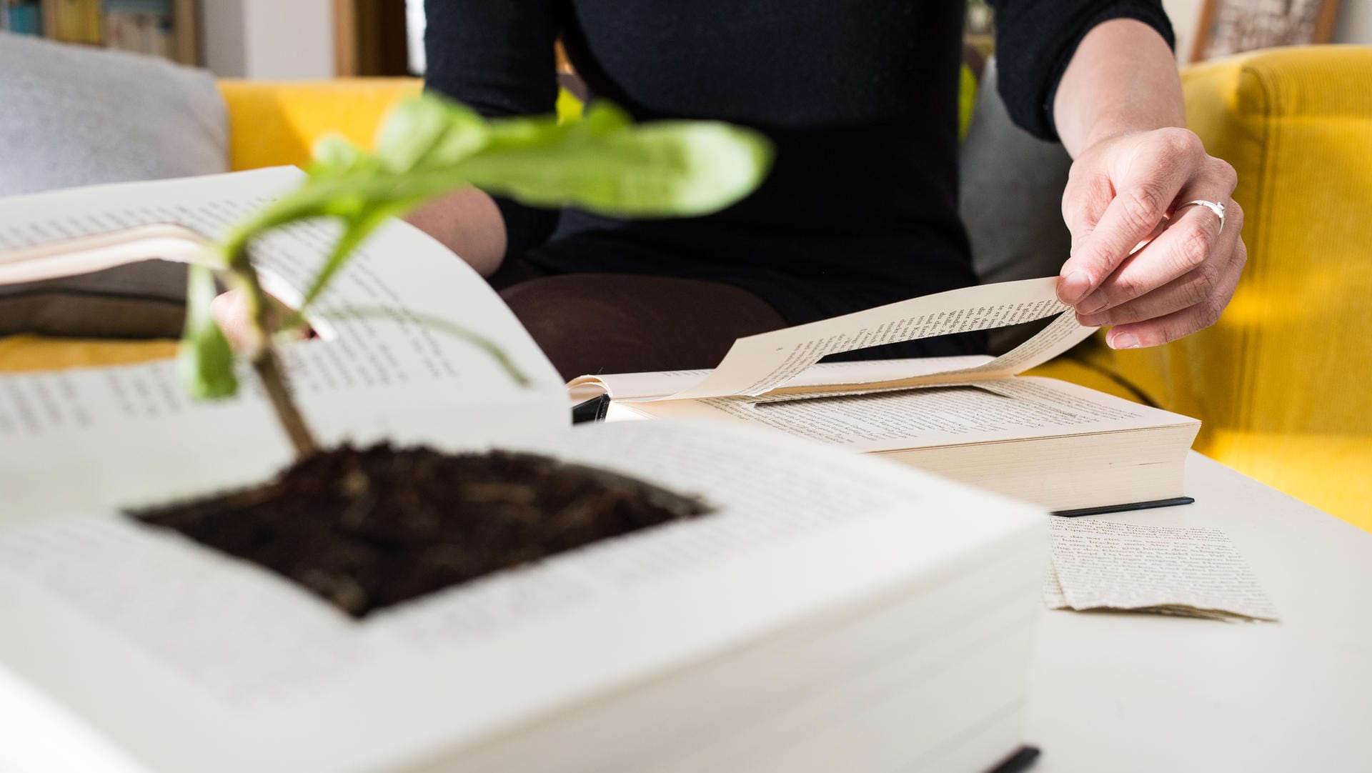 Die Zukunft liegt im Print: Bücher werden zum Wohnelement im Haus