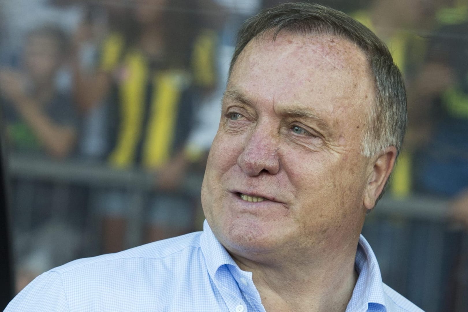 Dick Advocaat tritt als niederländischer Trainer zurück.