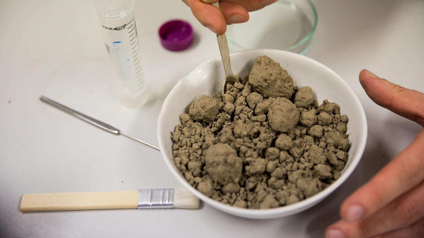 Ein Chemiker untersucht im Labor eine mit Glyphosat belastete Bodenprobe.