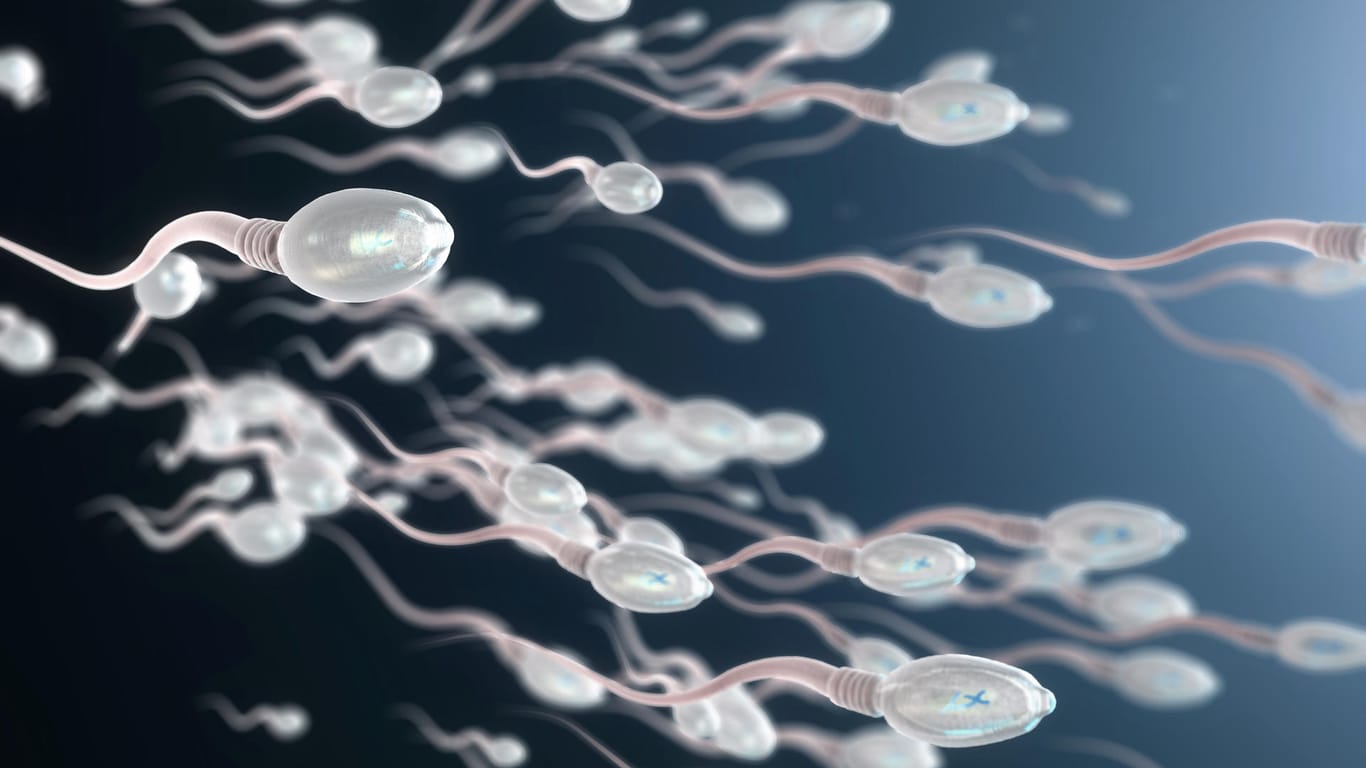 Die Spermienqualität kann durch einen gesunden Lebensstil verbessert werden.