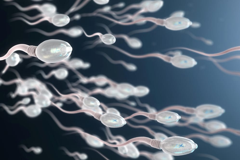 Die Spermienqualität kann durch einen gesunden Lebensstil verbessert werden.