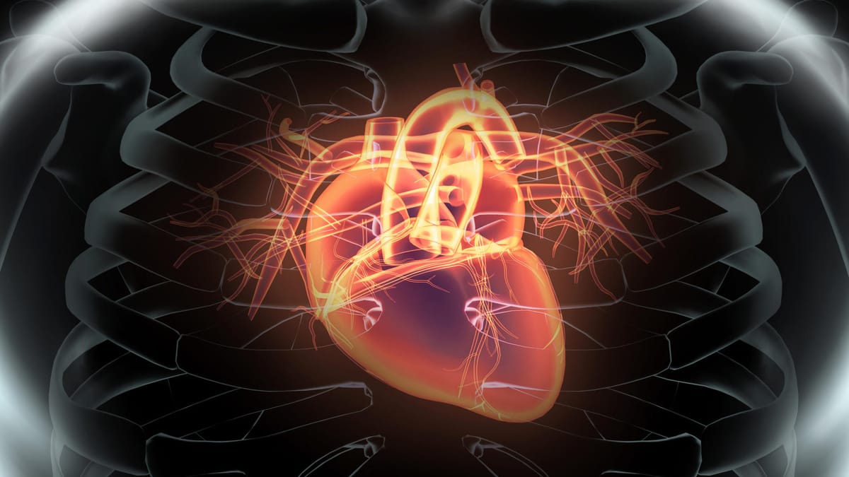 Herzmuskelentzündung: Wie lange kein Sport nach Erkältung?