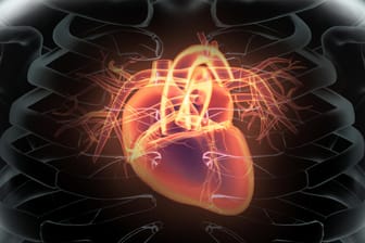 Herzmuskel (Symbolbild): Eine Entzündung bleibt hier lange unbemerkt.