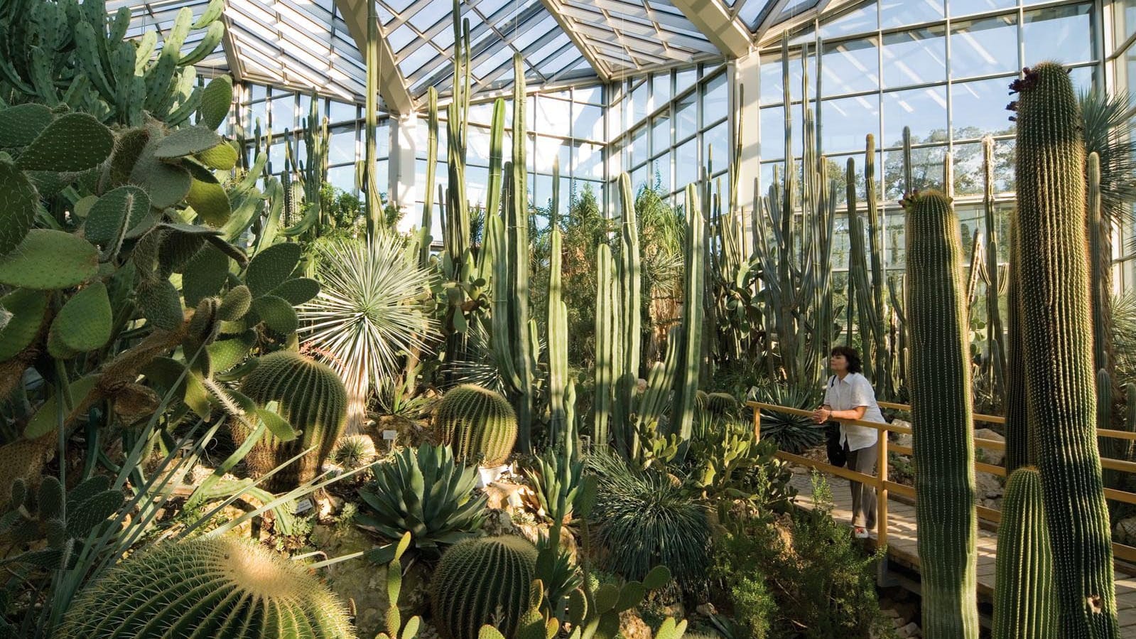 Der Palmengarten in Frankfurt: hier gibt es sogar einen Wasserfall zu bestaunen.